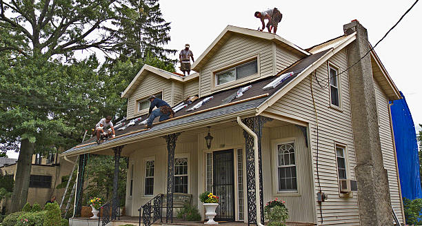 Best Metal Roofing Contractor  in , WA