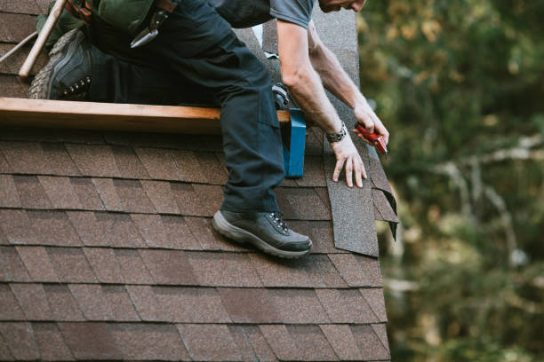 Best Roof Gutter Cleaning  in , WA